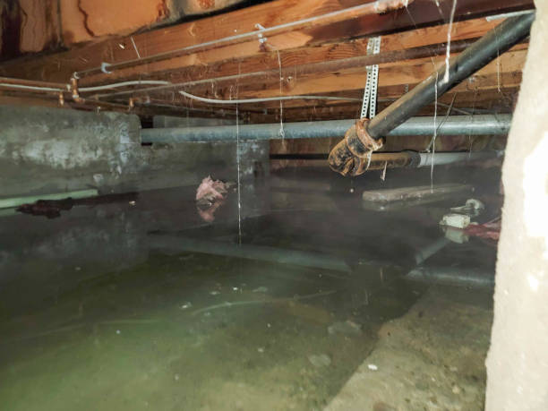 Best Water damage cleanup near me  in Nazareth, PA