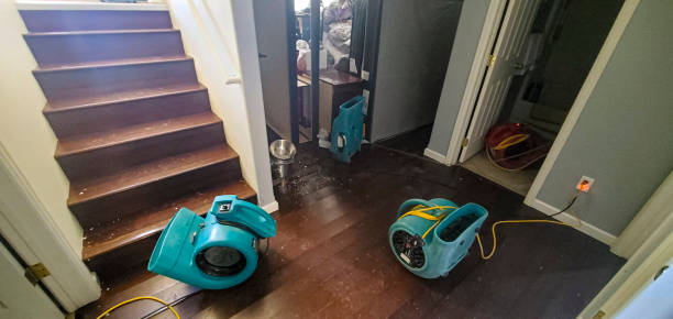 Best Carpet water damage restoration  in Nazareth, PA