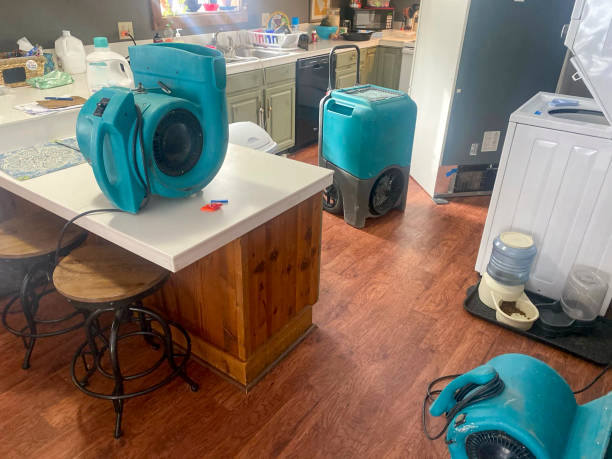 Best Basement water damage restoration  in Nazareth, PA