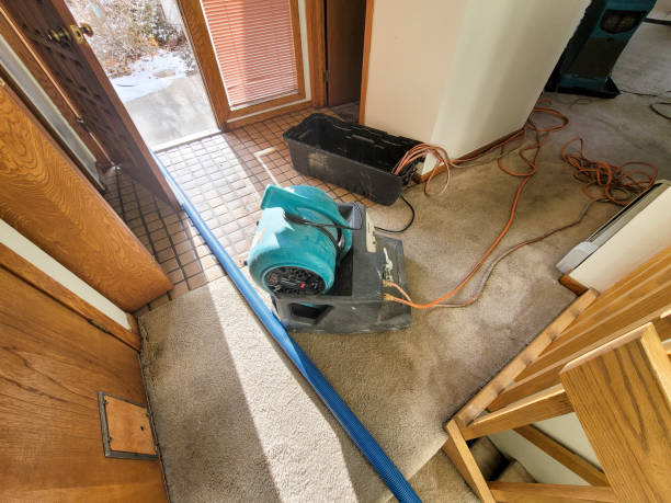Best Flood damage cleanup  in Nazareth, PA